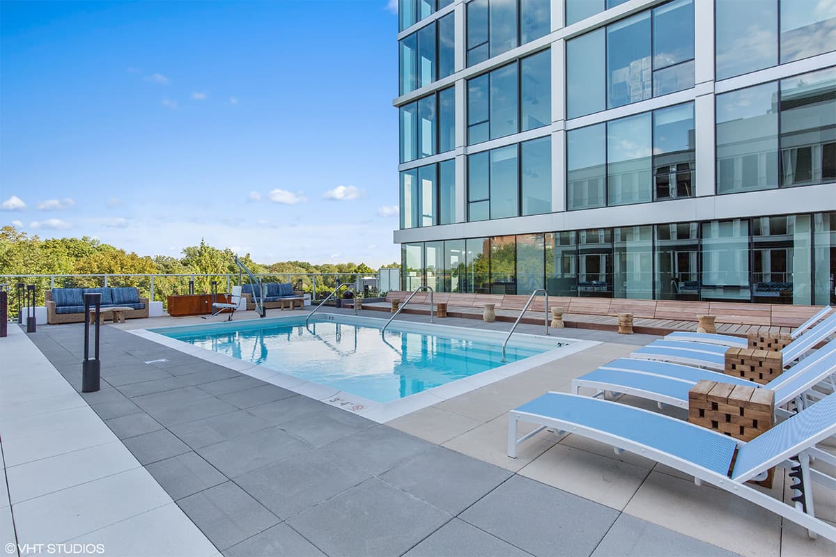 The Albion - Image 3